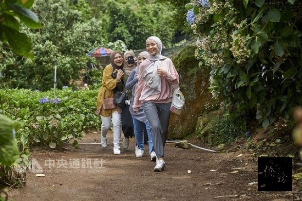 觀光局首次推出穆斯林觀光代言人，邀請馬來西亞穆斯林女星邀蜜拉菲爾莎（Mira Filzah）（前）代言。圖為蜜拉菲爾莎與大馬3名時尚、美妝界的網路紅人來台拍攝影片時樂遊陽明山繡球花田。