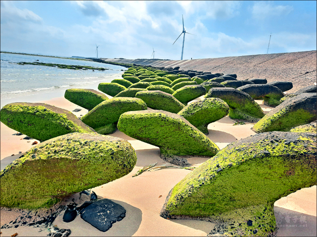 澎湖新興觀光景點抹茶石槽，在網路爆紅。（自由時報提供）