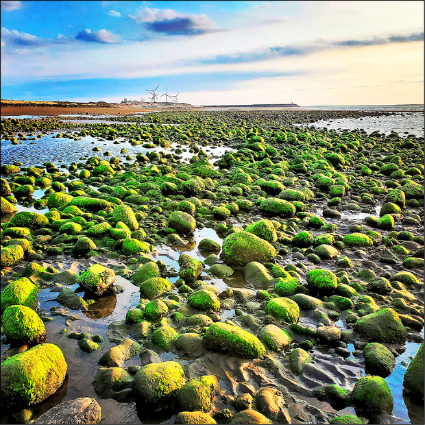 行銷苑裡，苑裡鎮公所結合綠石槽辦海洋願景活動。（自由時報提供）