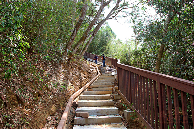 頭份市公所投入九百萬元改善永和山水庫周邊旅遊節點，將重整相思步道，串聯水庫周遭景點。（自由時報提供）