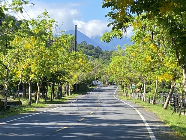 花蓮縣玉里鎮縣道193南段，道路兩旁種植整排的阿勃勒行道樹，目前正值盛開期，一片金黃。（中央社提供）