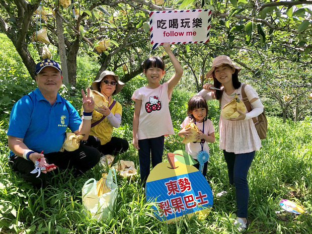 水土保持局台中分局串聯台中山城一帶的東勢等區農會,規劃「浪漫台山線農村防疫安心旅遊」系列活動,27日由東勢區農會率先開跑,與市區多家旅宿業者合作,推出梨產業體驗小旅行,大小朋友親手摘梨樂開懷。(東勢區農會提供)