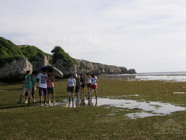 小琉球肚仔坪潮間帶生物銳減 擬管制人流