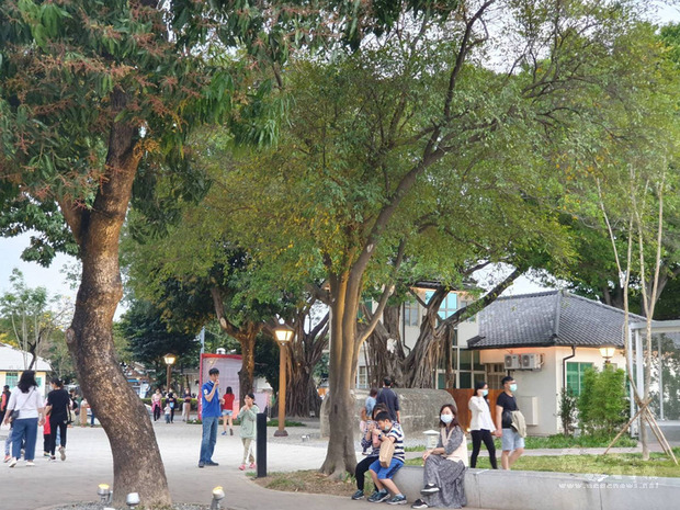 走進屏東勝利星村創意生活園區，引人入勝的不只有日
式建築及各具風格特色的店家，園區內眾多老樹也是重
要的生態與文化資產。