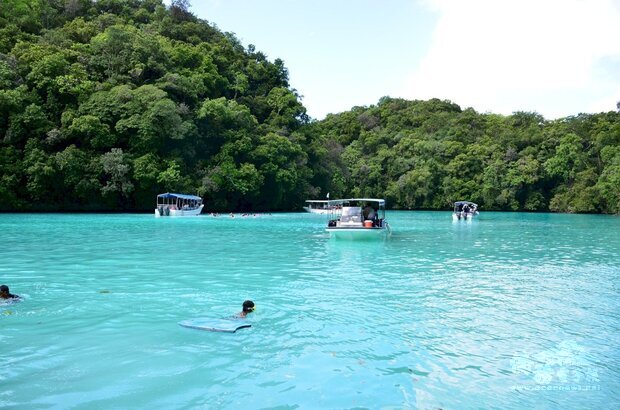帛琉觀光局宣布，取消航空、飯店、餐廳、海陸交通運輸7成載運規定外，也將補助每名旅客參訪洛克群島、水母湖25美元(約新台幣710元)。(圖：Pixabay)