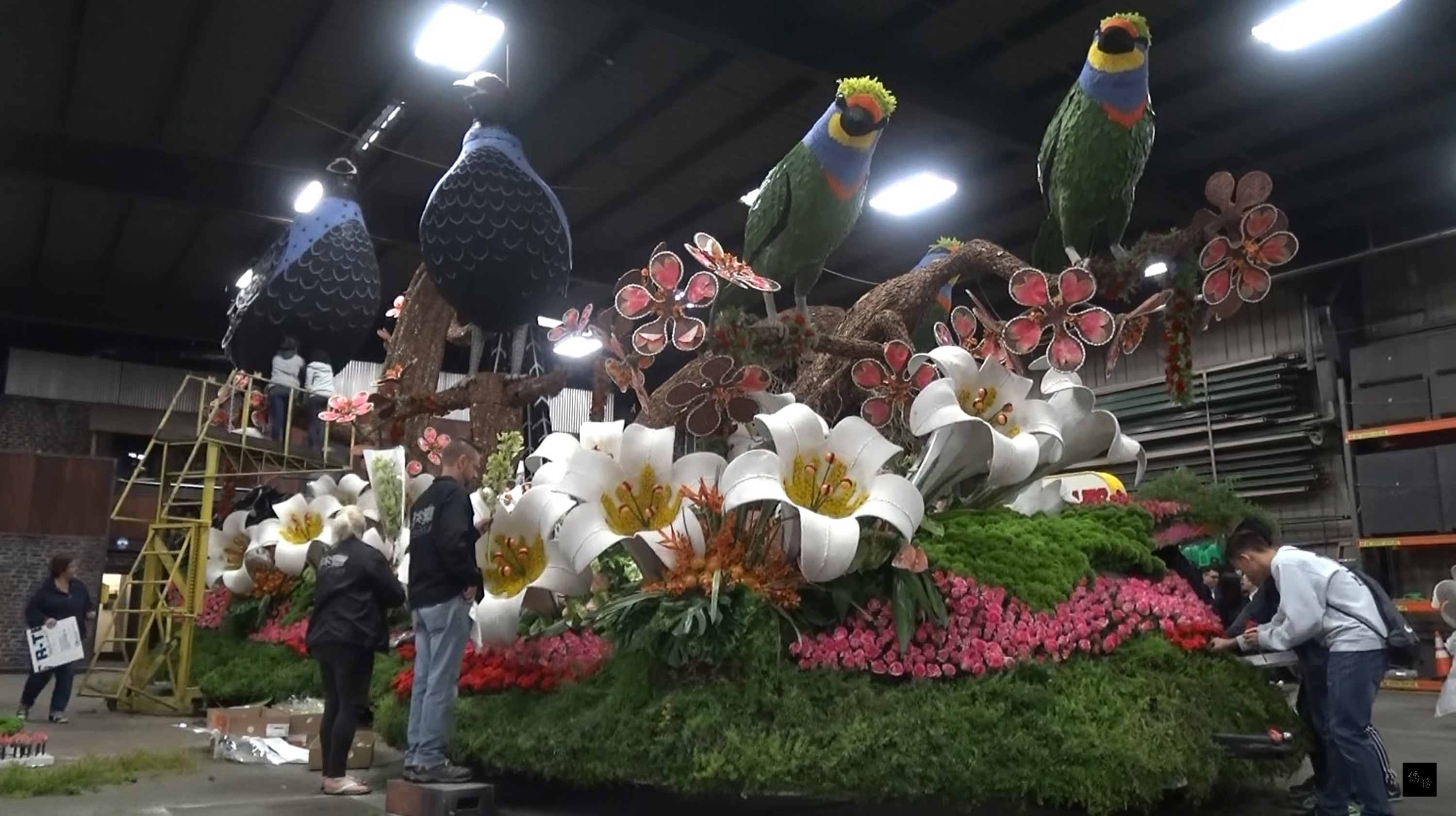 配合大會主題「成功的迴響」，華航花車以帝雉、五色鳥與百合為主題，呈現台灣生態之美。（中央社提供）