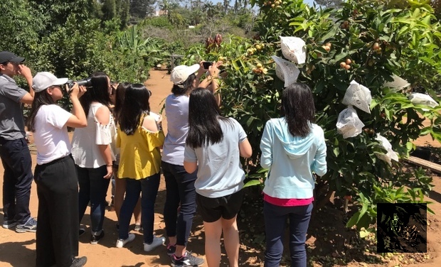 台灣青年海外搭僑計畫參訪卡爾斯巴有機農場，感受田園之樂。（世界日報提供）