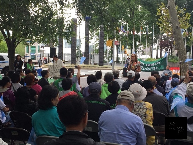 楊恩（Lois Michele Young）(立者)發表支持臺灣加入聯合國言論。