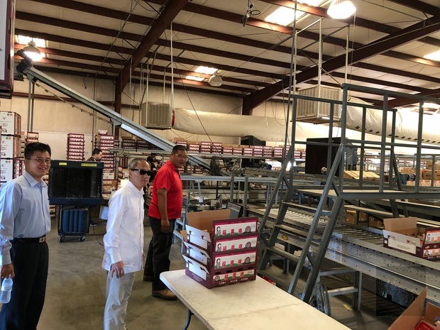 汪松林(右)向吳新興(中)說明水蜜桃包裝程序