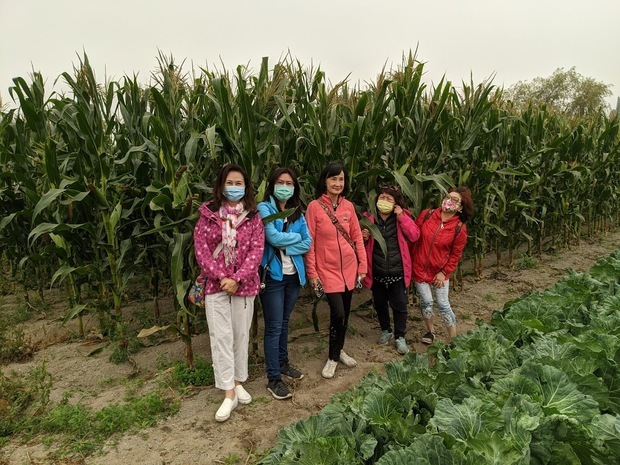 參訪臺僑開設的有機農場，品嘗當季農產品，大家讚不絕口。