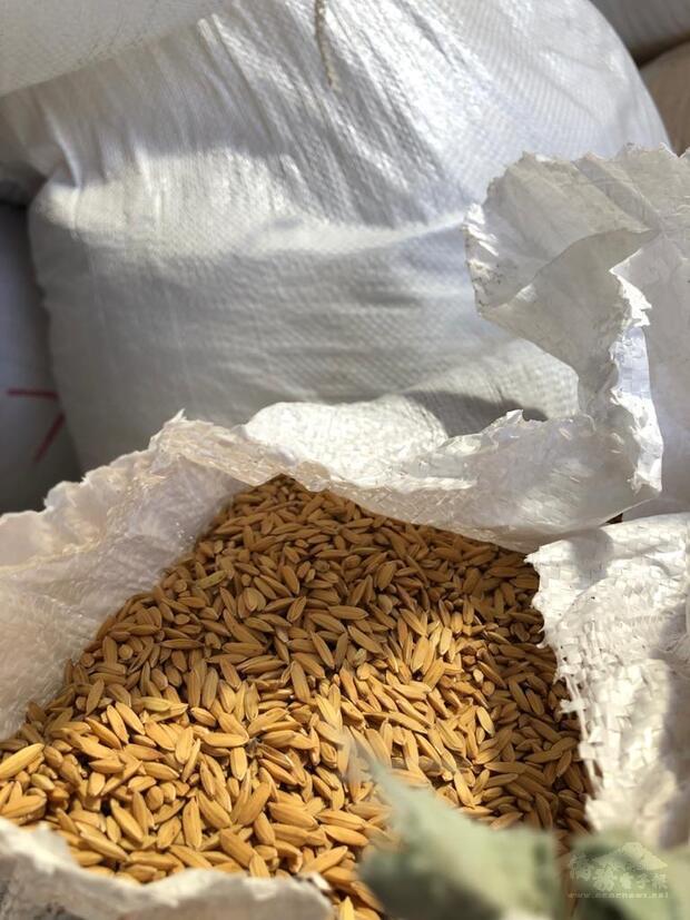 古大使文劍在駐海地技術團團部接待海國Quisqueya大學校長Jacky LUMARQUE