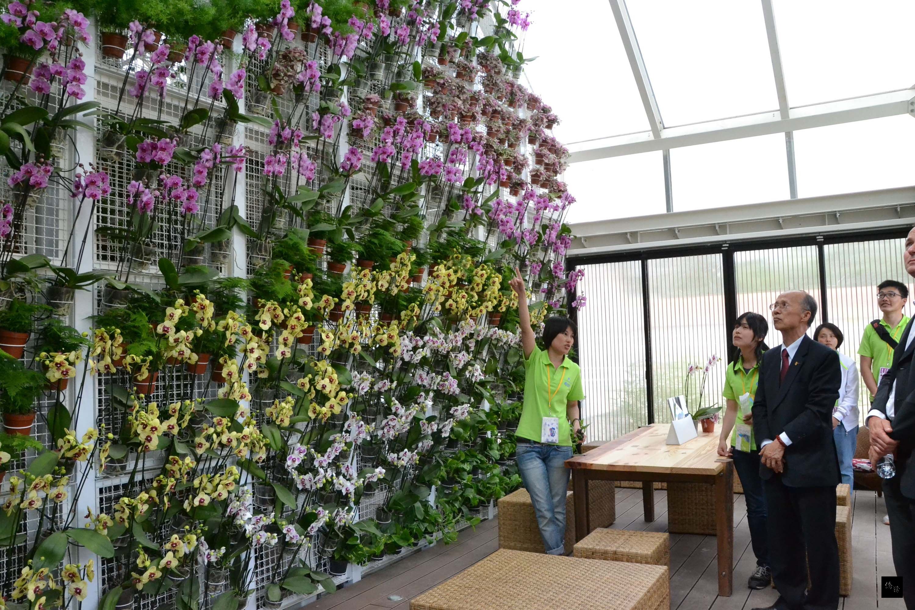 國立交通大學以「蘭花屋」參加今年在法國舉辦的永續建築競賽，是台灣首度入圍。交大學生當地時間6月27日向訪賓介紹建築核心概念「蘭花牆」。（中央社提供）