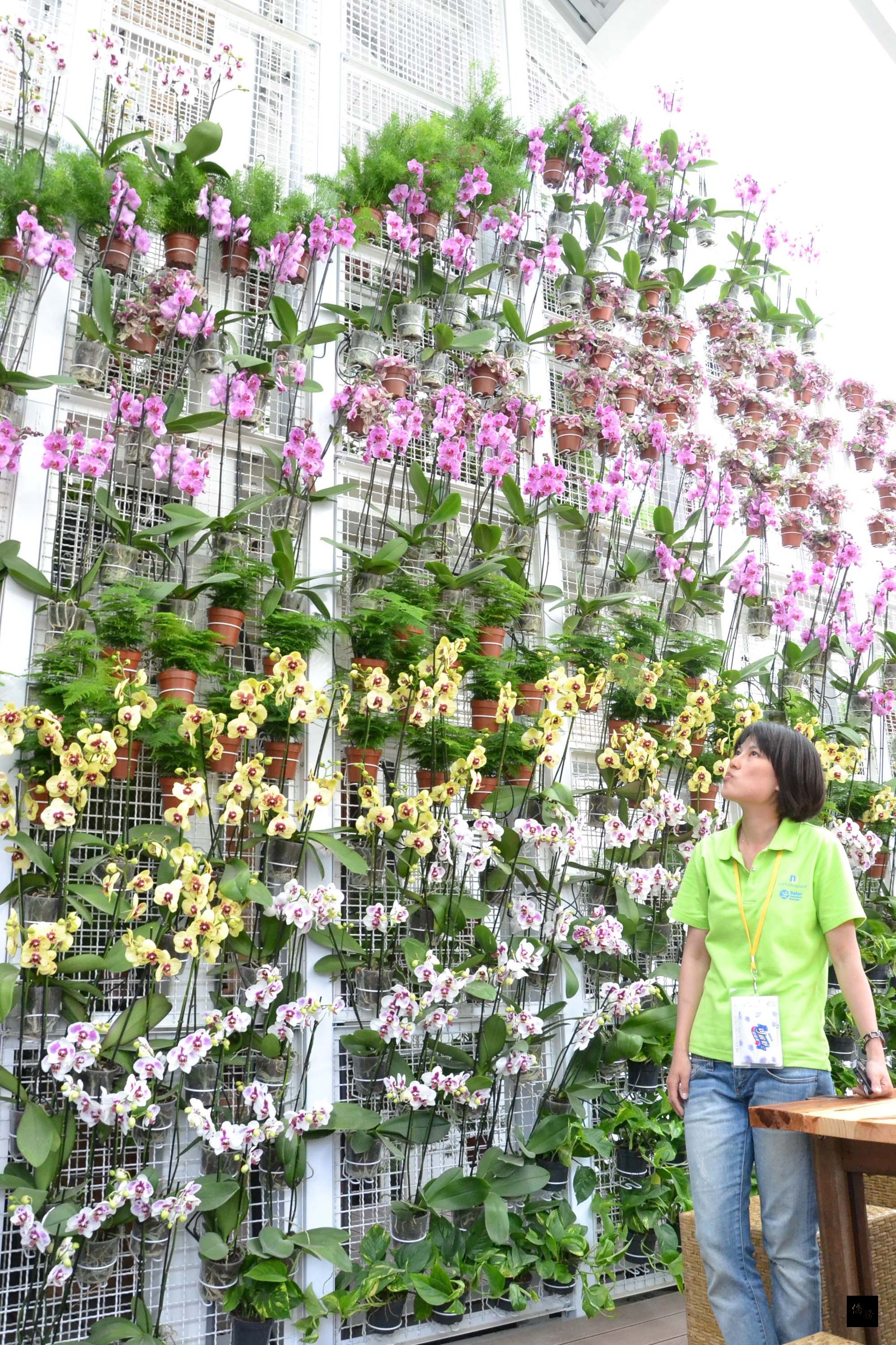 國立交通大學以「蘭花屋」參加今年在法國舉辦的永續建築競賽，是台灣首度入圍，並在能源管理系統方面獲得台達電協助。圖為建築核心「蘭花牆」。（中央社提供）
