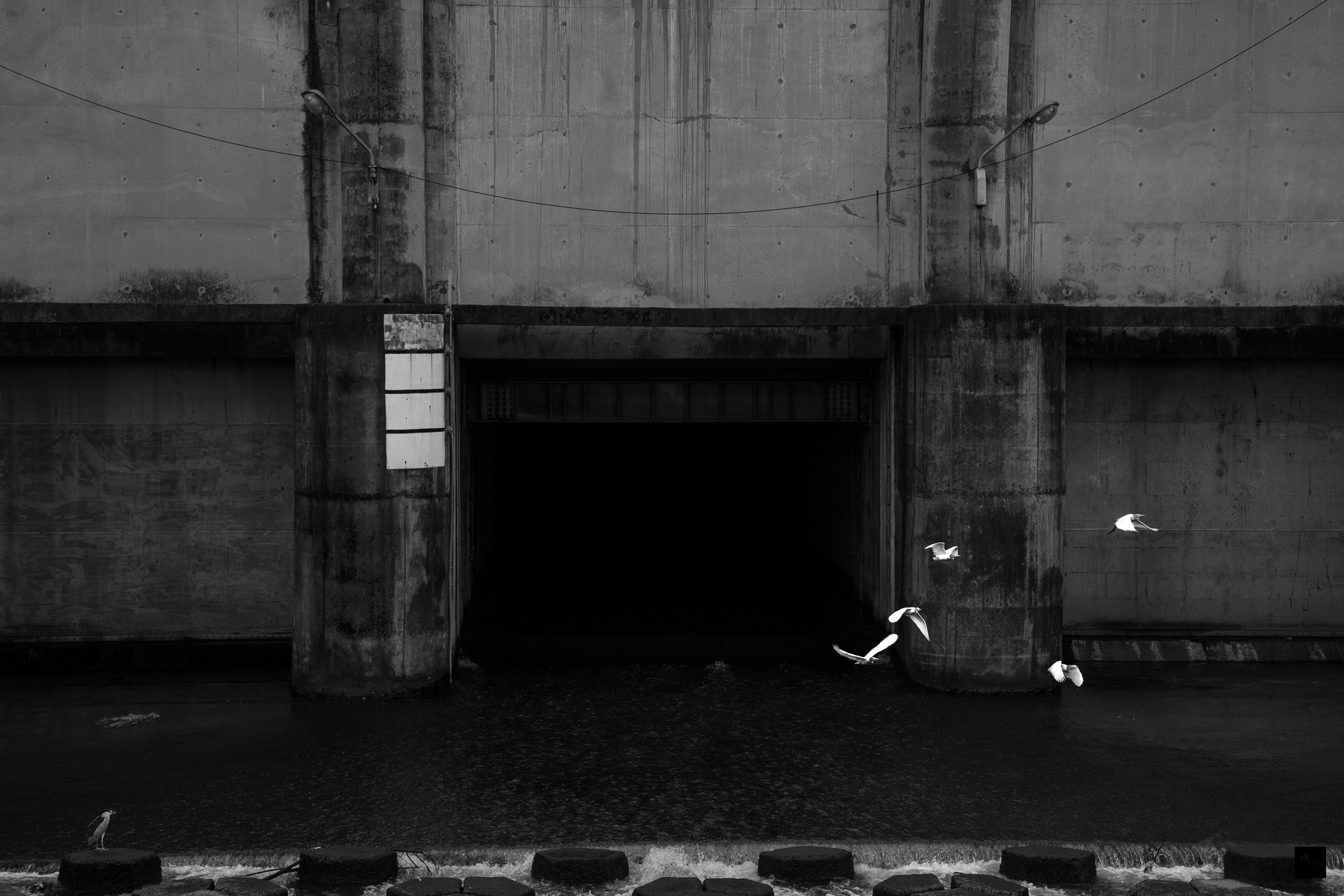 索尼世界攝影大獎舉行頒獎典禮，來自新北市的專業攝影師顏鵬峻以系列作品「黃泉」，藉此呈現絕處現生機的意念，榮獲風景類第2名，圖為他參賽的系列作品之一。（中央社提供）