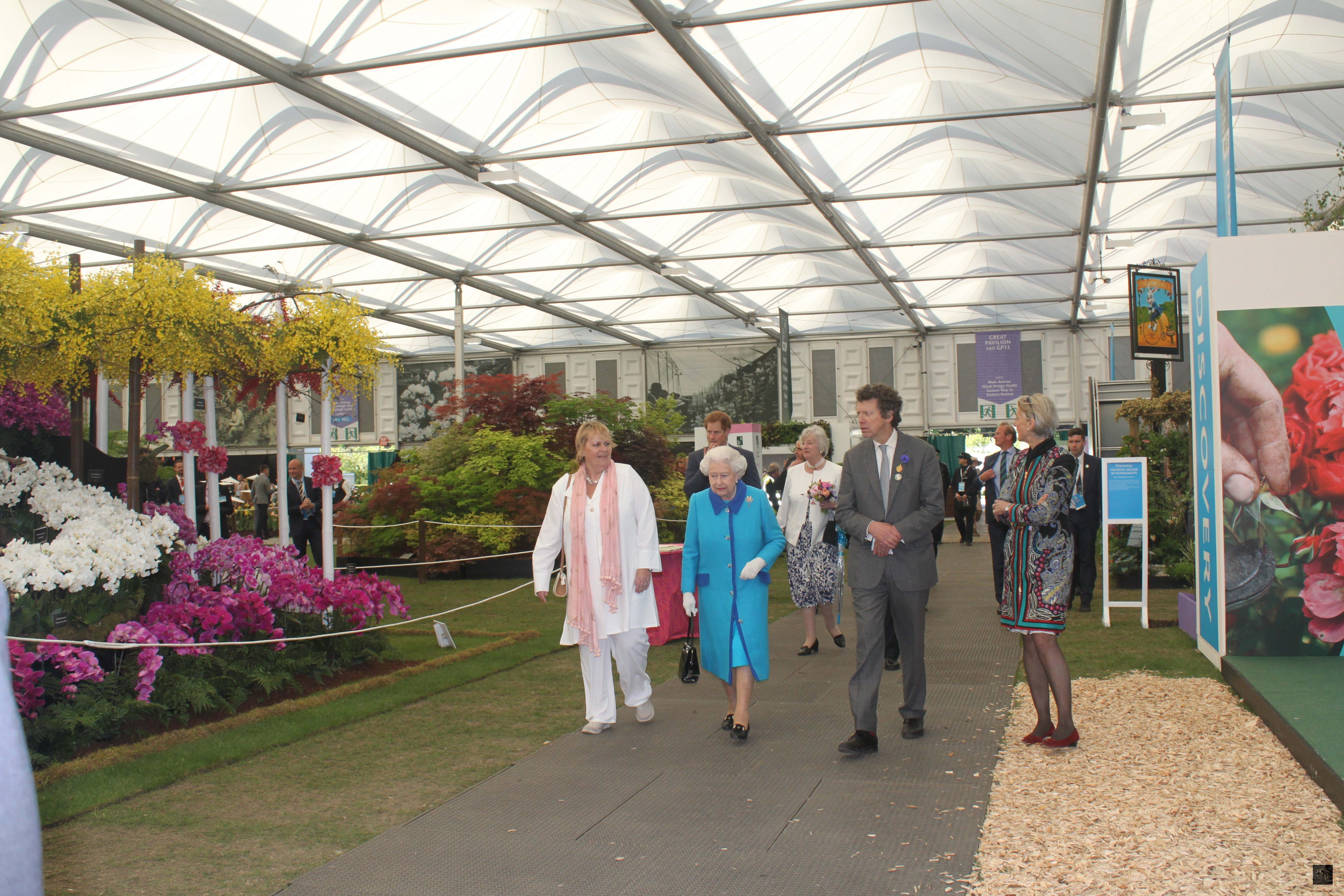世界知名的英國切爾西花展19日登場，英國女王伊麗莎白二世18日晚間參觀花展時，曾觀賞台灣展攤。（中央社提供）
