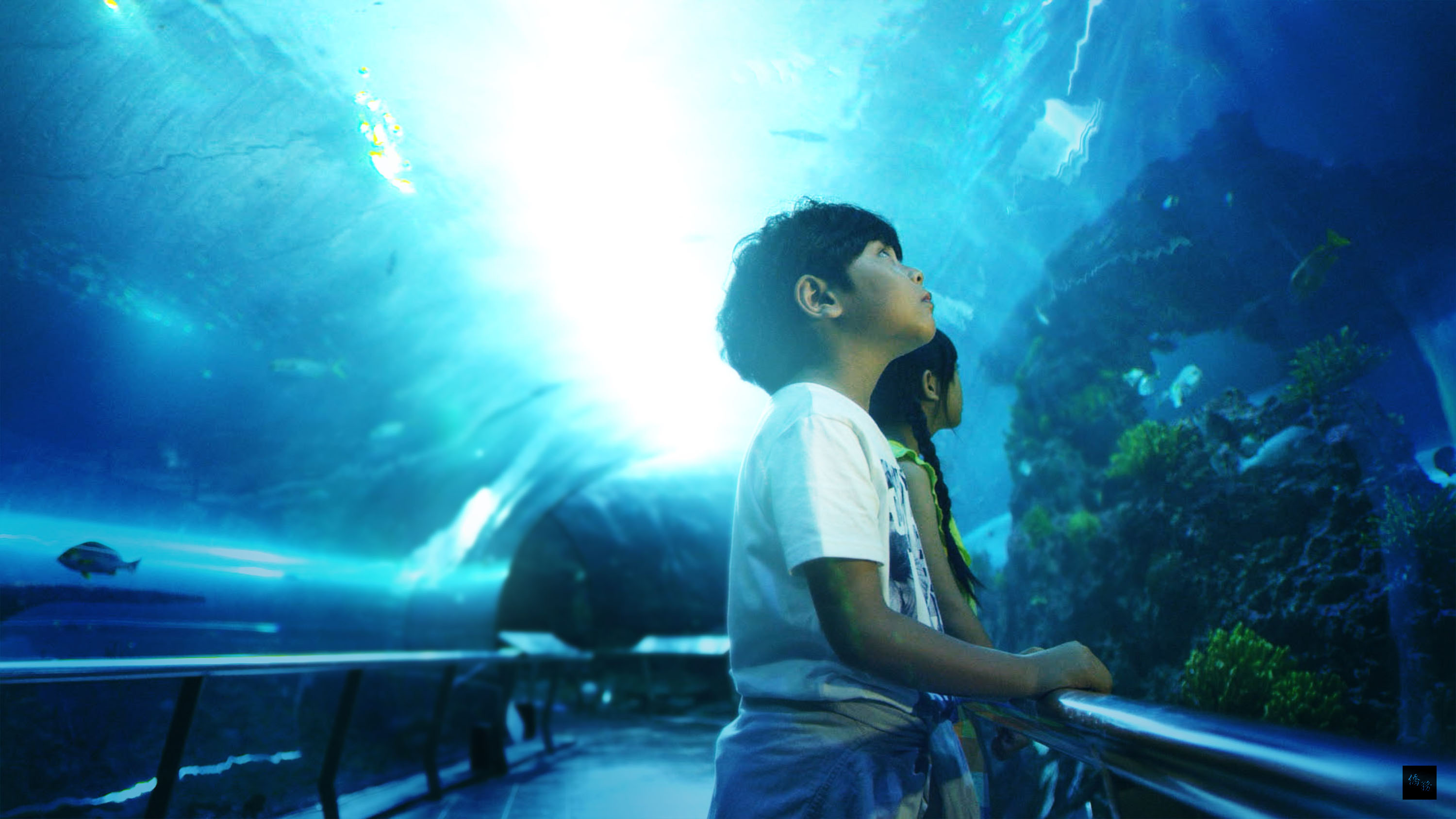 屏東國立海洋生物博物館今年拍攝的微電影「戀上這個夏天/In Love This Summer」,榮獲「2015葡萄牙ART&TUR國際觀光電影節-最佳亞洲影片」。(中央社提供)