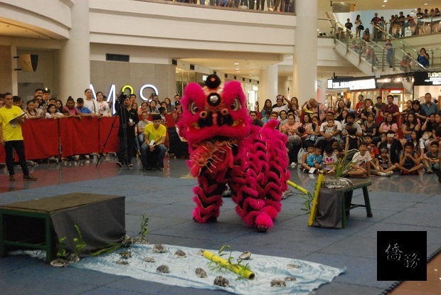 黃氏龍獅隊舞獅表演。
