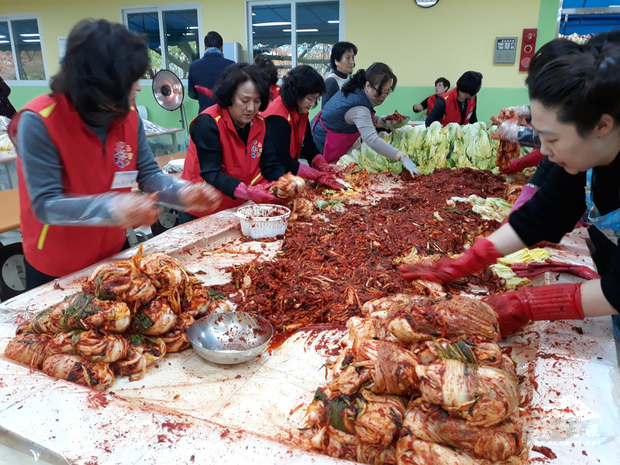 韓國華僑婦女聯合會17日在漢城華僑中學餐廳舉辦愛心泡菜醃製體驗活動，韓華婦女近200人同心協力醃製1100公斤、500顆大白菜的愛心泡菜。（中央社提供）