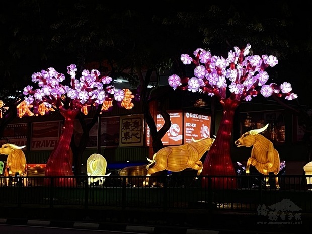 迎接牛年到來,新加坡牛車水一帶可見許多以牛為造型的燈籠燈飾,增添年節氣氛。