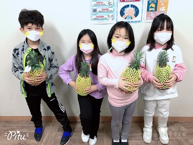 漢城華僑小學學童歡喜領取臺灣鳳梨。