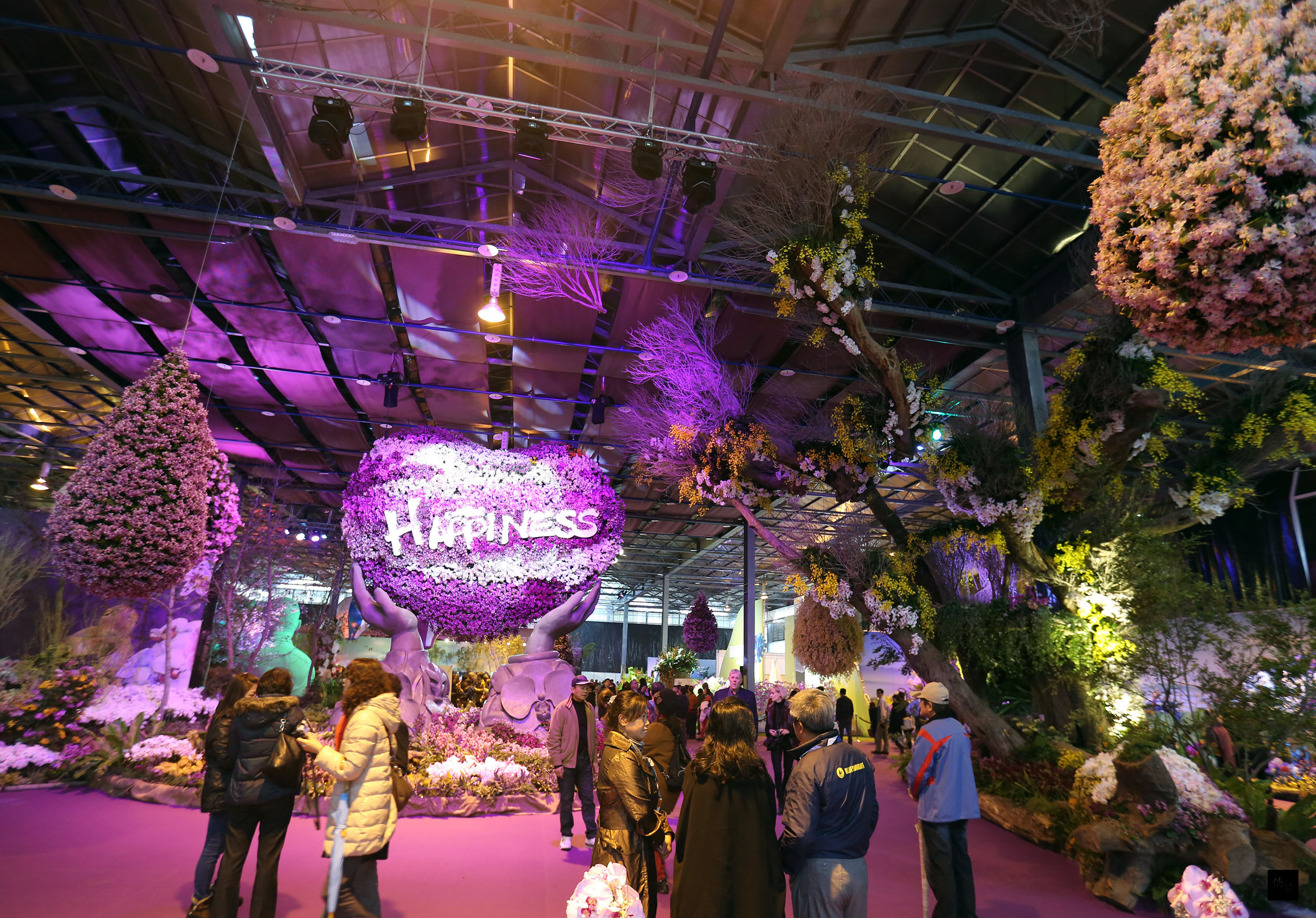 Taiwan's annual orchid show generates US$306 million in sales.(Photo Courtesy of CNA)