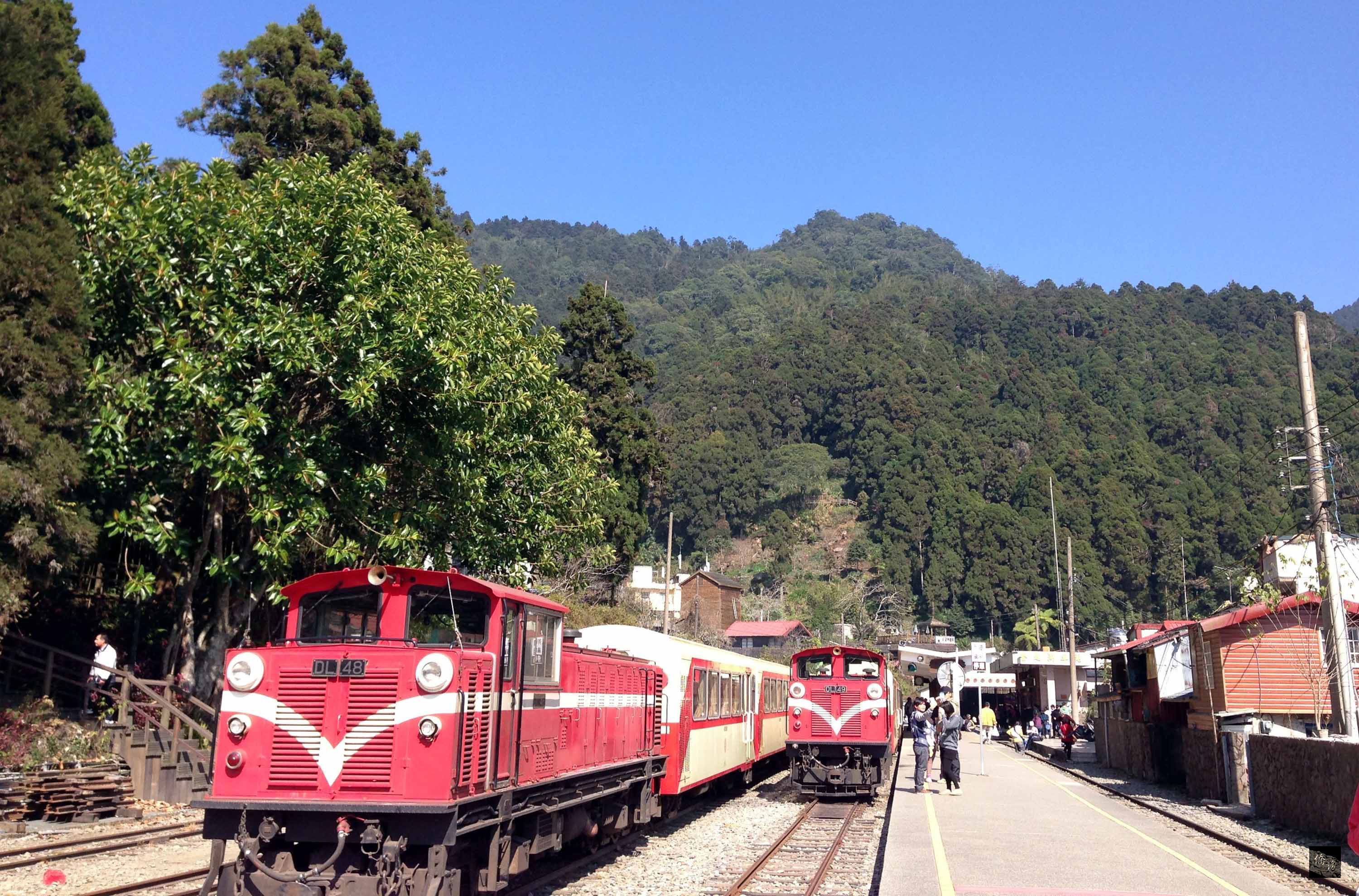 Alishan Forest Railway.(Photo courtesy of CNA)
