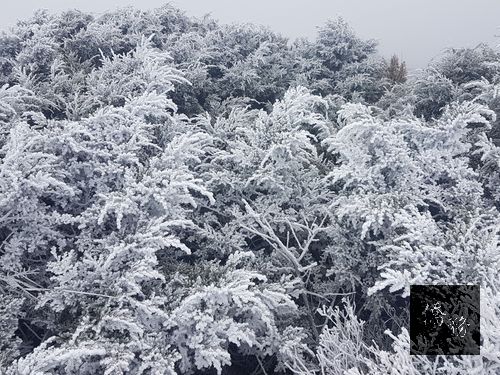 Photo courtesy of the Central Weather Bureau