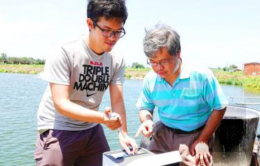Wang Shau-chun, right, director of National Chung Cheng University’s Center for Nano Bio-detection, instructs a student on using a detector at a grouper farm in Chiayi County in an undated photograph./Photo courtesy of National Chung Cheng University