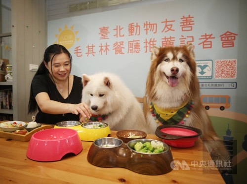 Pet owner with Michael (right) and Puyo (center)/Photo courtesy of CNA