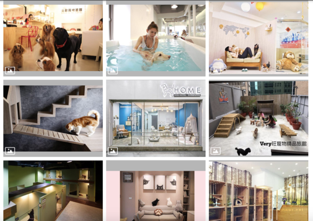 Screenshot from the Web site of the Taipei City Animal Protection Office.