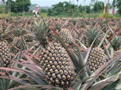 Photo courtesy of CNA