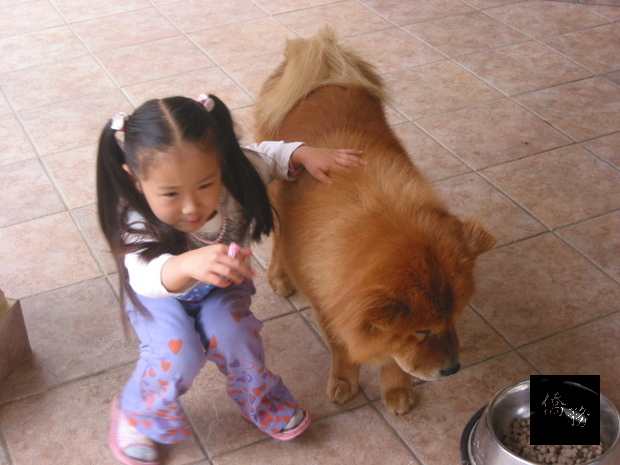 女兒最佳玩伴。