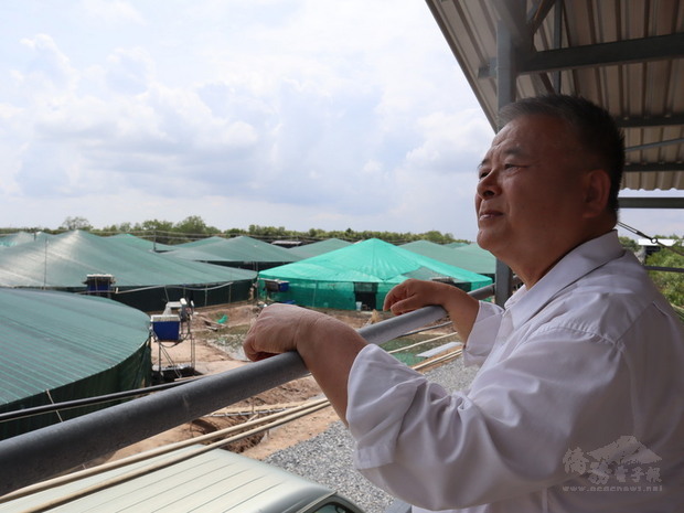 越南台商陳信銘50公頃的蝦池年產量達1800噸。他因穩定供貨能力，被海底撈、摩斯漢堡等跨國連鎖企業相中。圖為陳信銘望著自己打造、擁有圓形尖頂、耐強風吹襲的蝦池「蒙古包」。