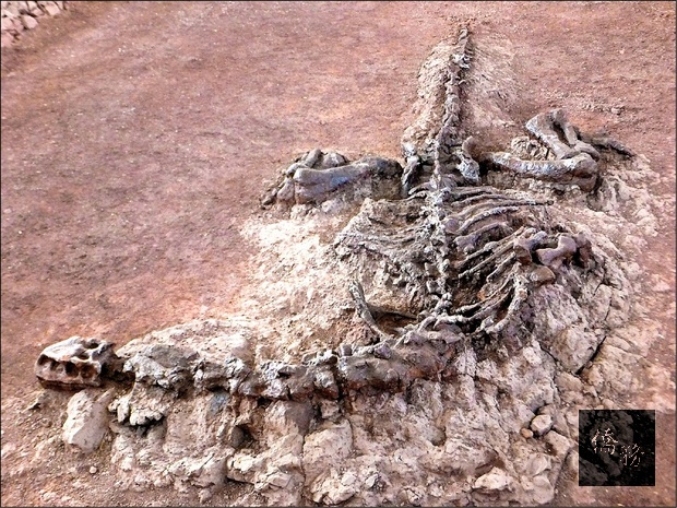 新竹市國幅中心副研究員李耀昌以台灣光子源的新實驗方法，發現1.95億年前的恐龍化石有完整未被破壞的膠原蛋白，被「發現雜誌」選為全球百大發現的第12名。（國幅中心提供）