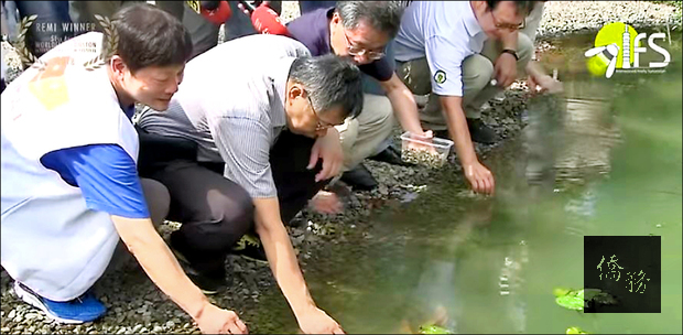 紀錄片「點亮臺灣之光，螢火蟲飛吧」完整記錄大安森林公園從2012至2017年復育螢火蟲的過程。（大安森林公園之友基金會提供）