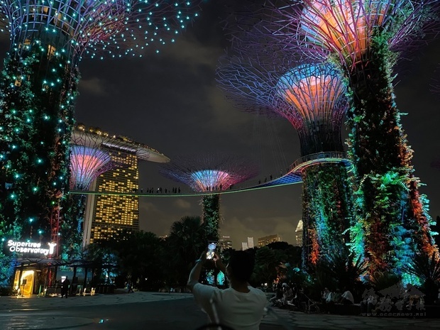 新加坡著名景點濱海灣花園的夜間燈光音樂秀自8日起重新登場，璀璨燈光隨著古典音樂舞動，吸引民眾前往觀賞。