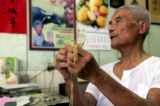 全國最著名稻人《無米樂》崑濱伯傳出不幸辭世，享耆壽93歲。靈醫會之光雙月刊提供