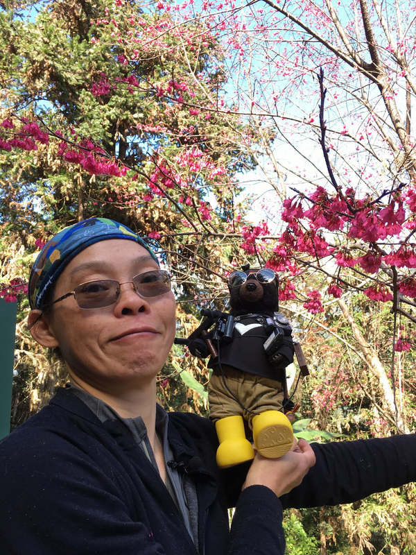 保育台灣黑熊逾20年、人稱「黑熊媽媽」的屏東科技大學野生動物保育研究所副教授黃美秀,帶領團隊以「建立人熊共榮共生之人間淨土」為案例,榮獲今年遠見USR大學社會責任獎生態共好組」首獎肯定。(黃美秀提供)