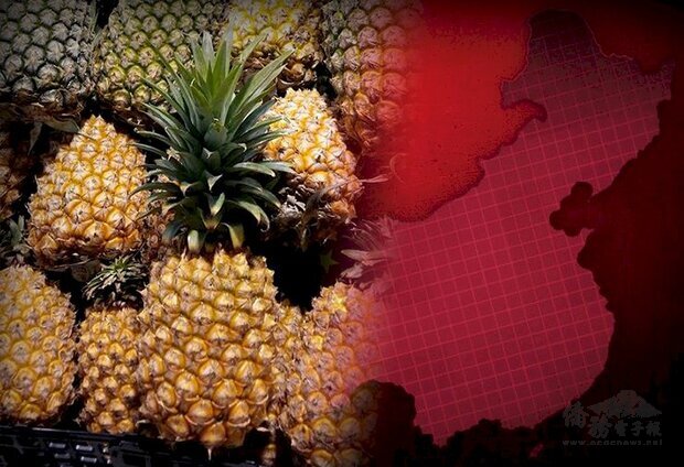 中國當局未經雙方協商或溝通而片面終止卻無需付出代價，回頭檢視過去政府宣稱中國市場的重要性，實毫無風險意識。(央廣提供)