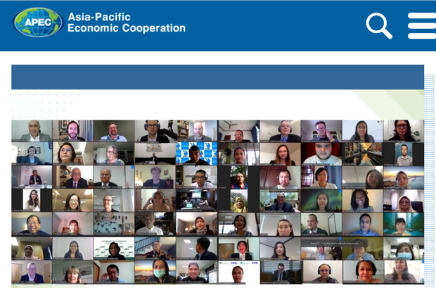 2021年亞太經濟合作會議貿易部長會議5月登場，主辦國紐西蘭將推動APEC成員經濟體間防疫必需品貿易免關稅。圖為2020年APEC成員國視訊進行貿易部長會議。（圖: APEC網頁apec.org）